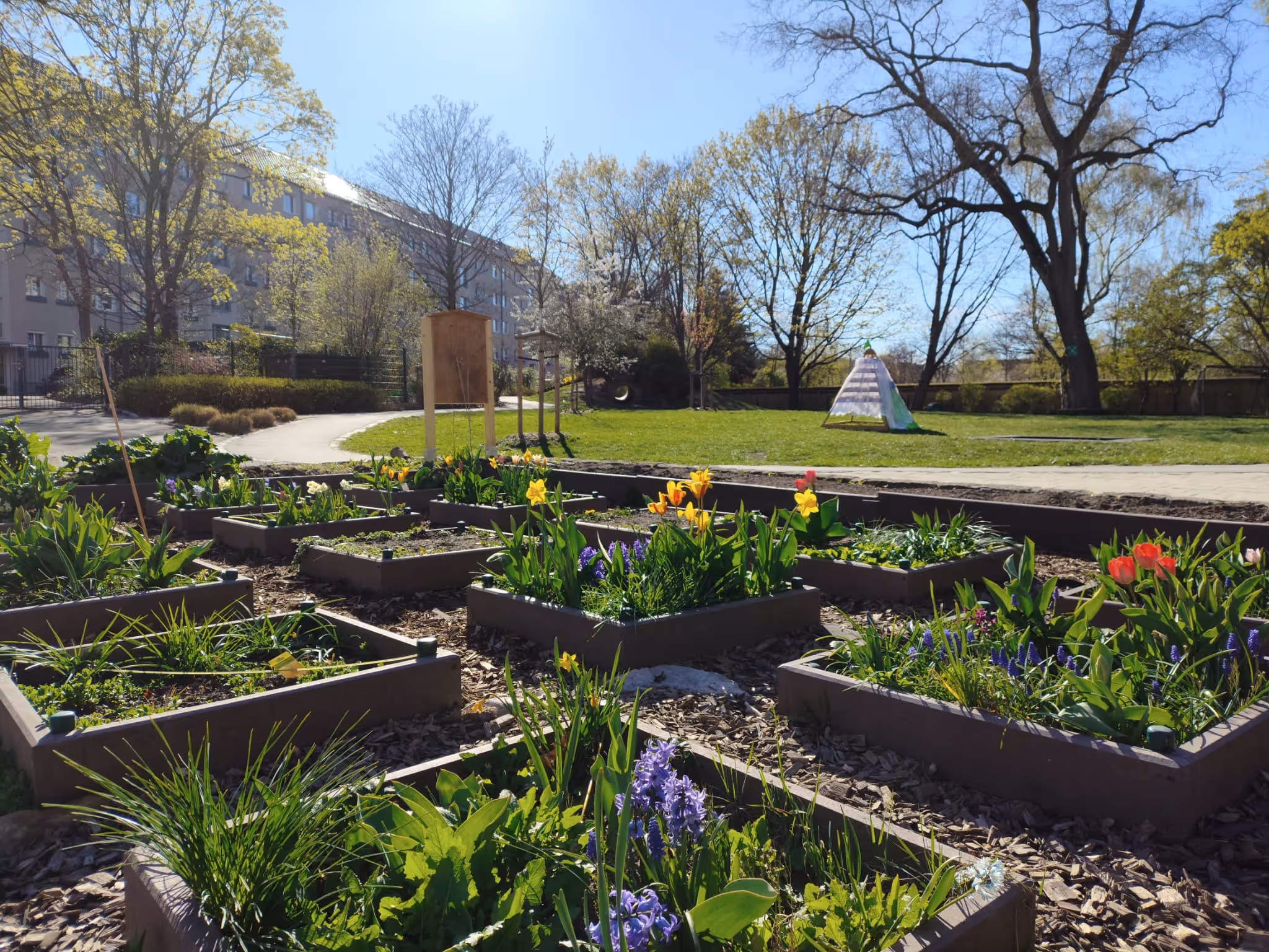 Hochbeete mit blühenden Frühlingsblumen in einer sonnigen Wohnanlage mit Bäumen und Spielplatz.