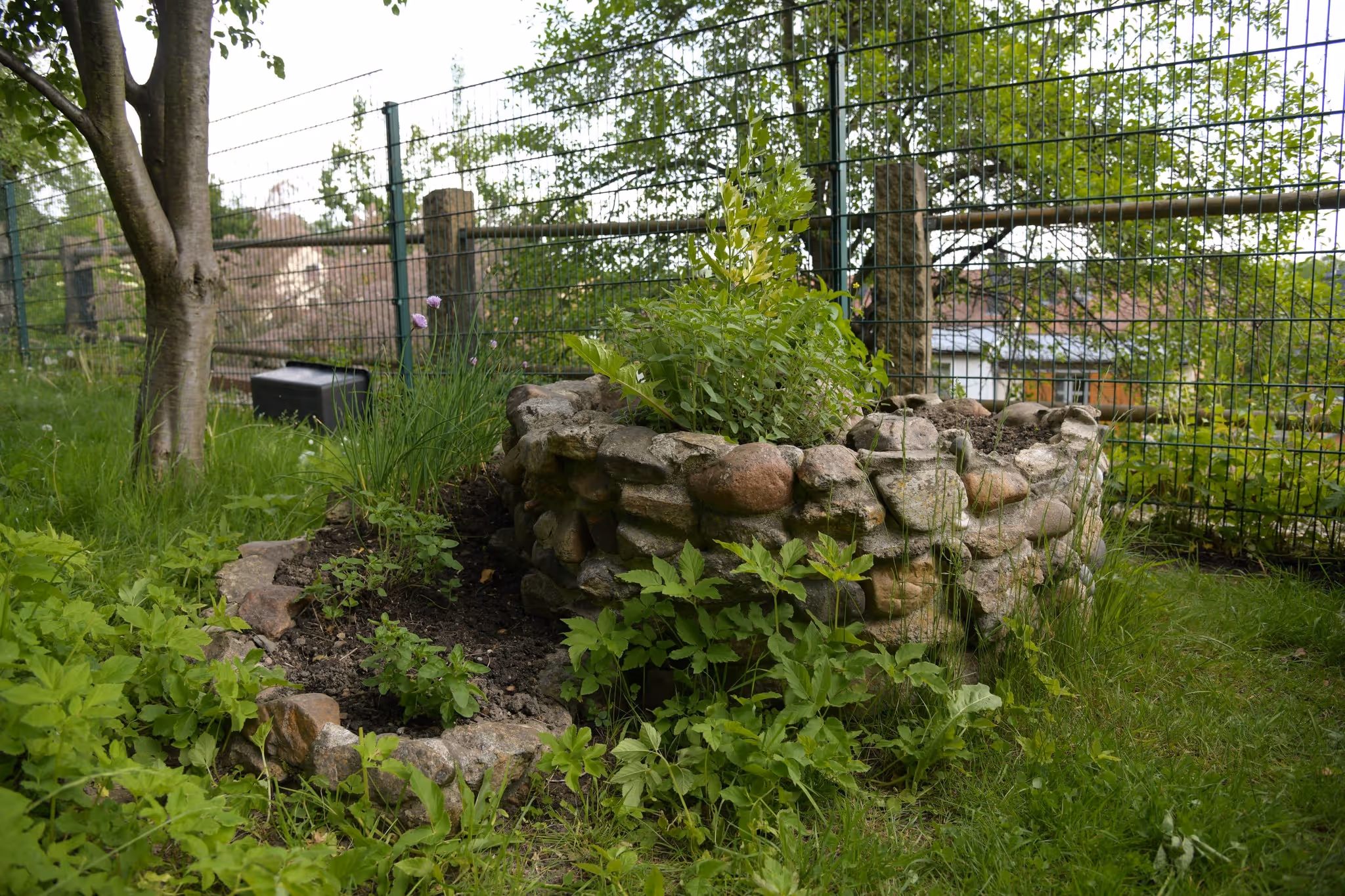 Halbrunde Natursteinmauer als Beeteinfassung zwischen Bäumen auf dem Kita-Gelände.