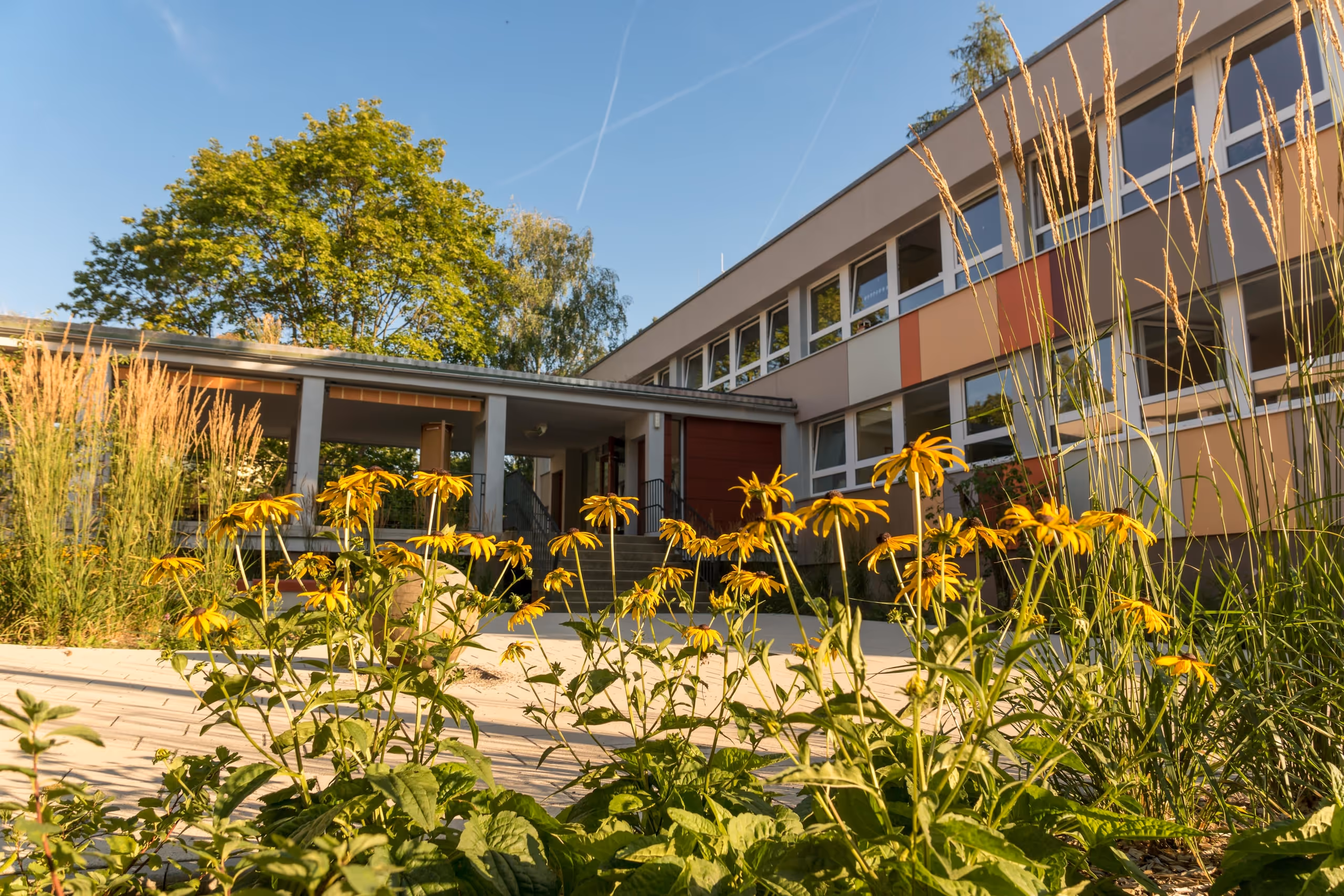Außenansicht des FRÖBEL-Kinderhauses Rosa-Menzer-Straße in Dresden-Striesen mit blühendem Beet im Vordergrund.